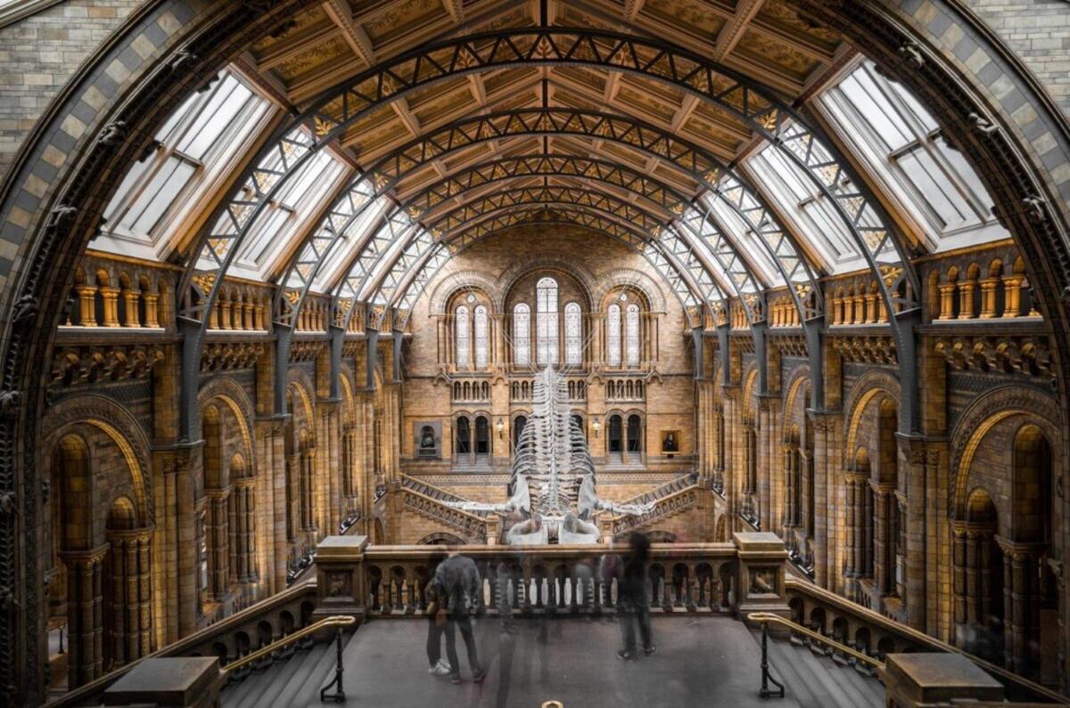 1-Bed Apartment, Close To Kensington Olympia With Free Wi-Fi & Netflix Londen Buitenkant foto