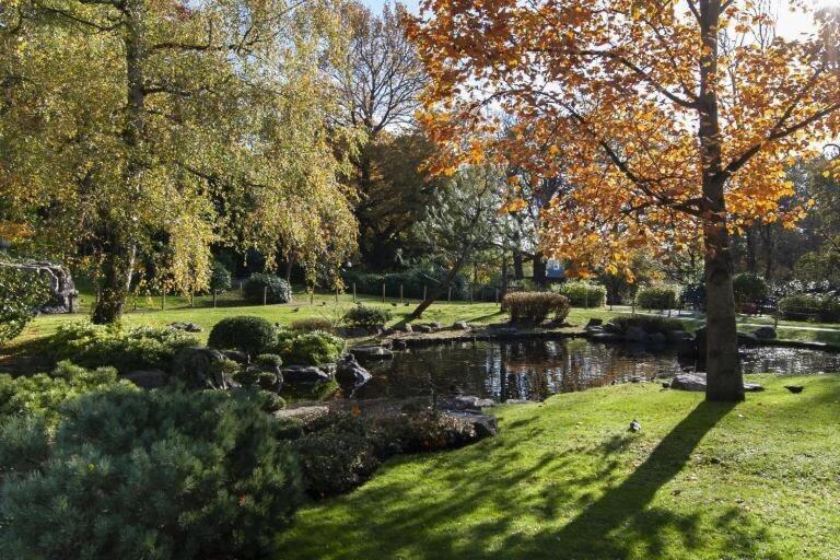 1-Bed Apartment, Close To Kensington Olympia With Free Wi-Fi & Netflix Londen Buitenkant foto